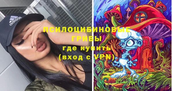 бутират Няндома