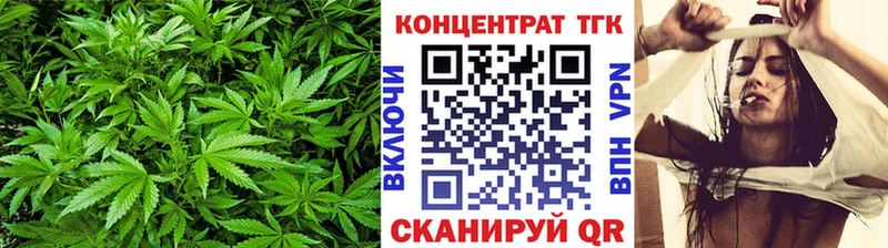 ТГК Wax Лакинск