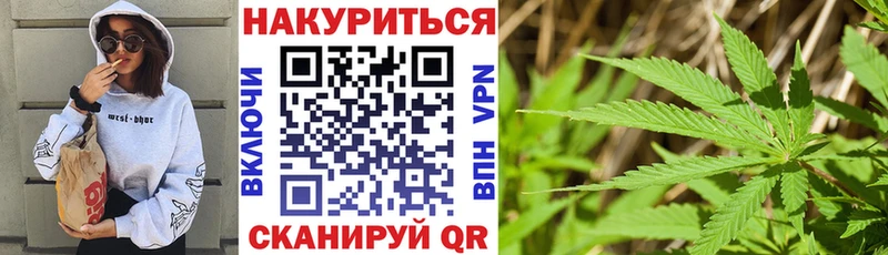 Бошки марихуана план Лакинск